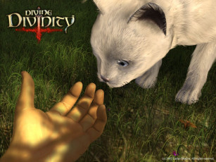 Картинка divine divinity видео игры