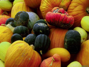 Картинка еда тыква