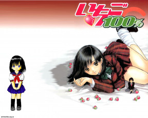 Картинка аниме ichigo 100%