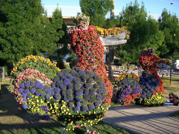 Обои картинки фото цветы, разные, вместе