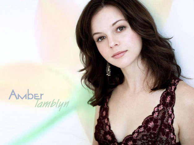 Обои картинки фото Amber Tamblyn, девушки