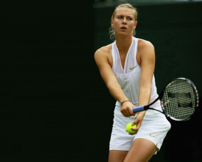 Картинка мария шарапова спорт теннис