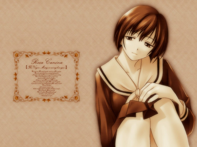 Обои картинки фото аниме, maria, sama, ga, miteru