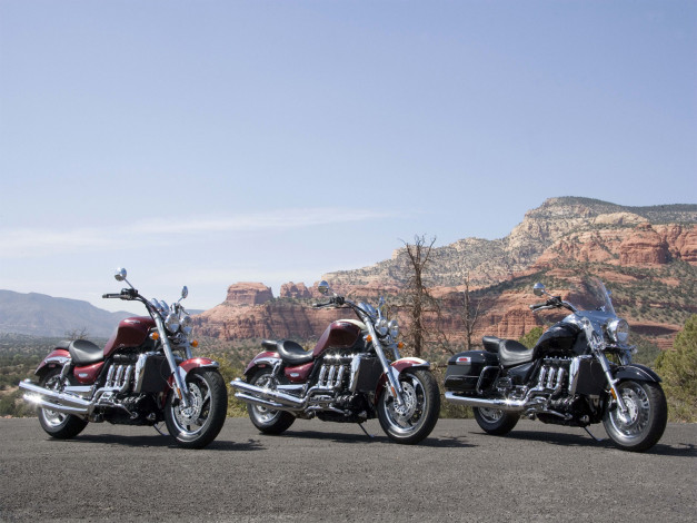 Обои картинки фото мотоциклы, triumph