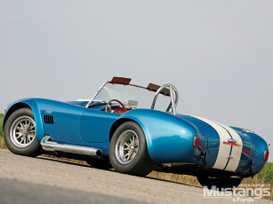 Картинка 2008 shelby csx4000 427 автомобили ac cobra