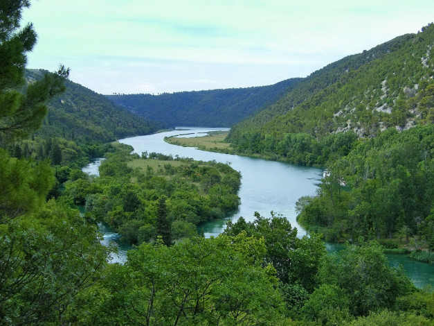 Обои картинки фото природа, реки, озера, лес, река