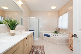 Картинка интерьер ванная туалетная комнаты ванна душ цветы