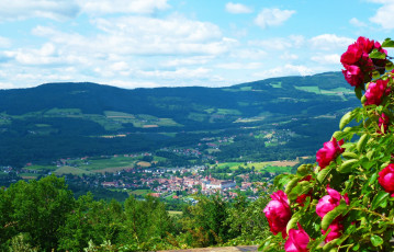 Картинка города пейзажи дома панорама городок розы