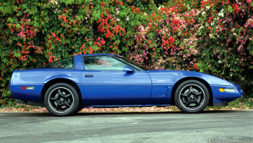 Картинка corvette автомобили gm chevrolet division сша