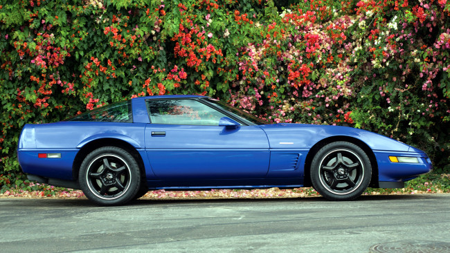 Обои картинки фото corvette, автомобили, gm, chevrolet, division, сша