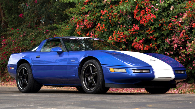 Обои картинки фото corvette, автомобили, gm, chevrolet, division, сша