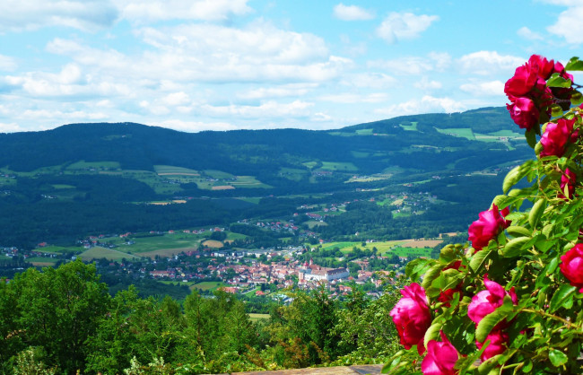 Обои картинки фото города, пейзажи, дома, панорама, городок, розы