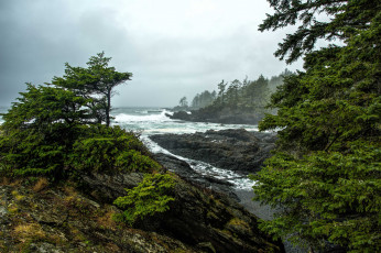 Картинка природа побережье берег море