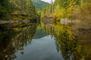 Картинка природа реки озера лес река