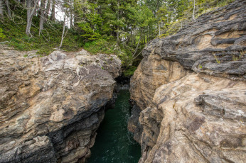 Картинка природа реки озера река лес