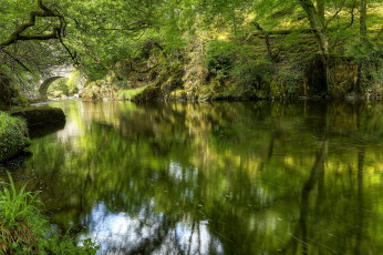 Картинка природа реки озера река лес