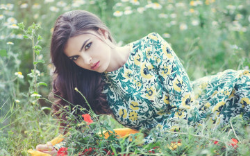 Картинка mercedes+pe& 241 девушки -unsort+ брюнетки +шатенки цветы трава поле брюнетка платье взгляд
