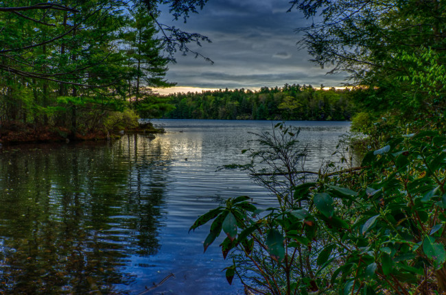 Обои картинки фото природа, реки, озера, река, лес