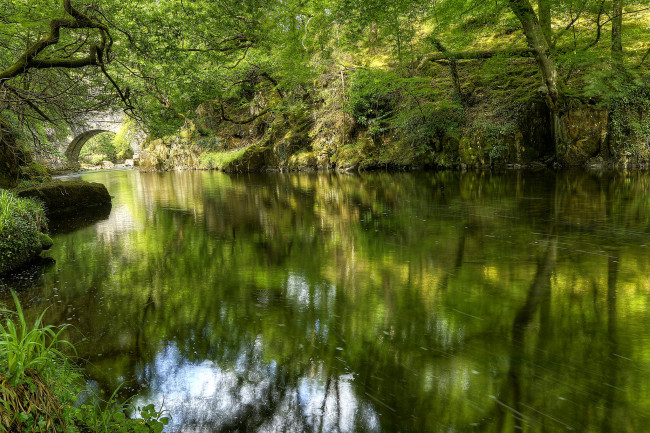 Обои картинки фото природа, реки, озера, река, лес