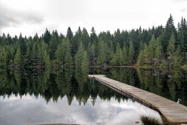 Обои картинки фото природа, реки, озера, река, лес