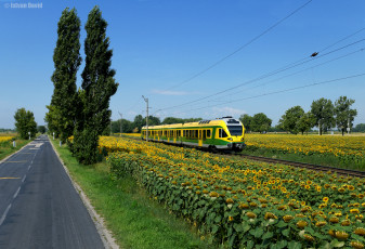 Картинка техника поезда простор