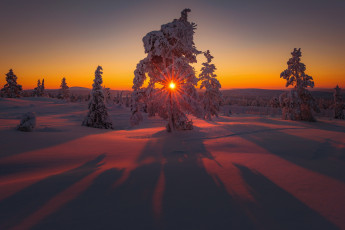 Картинка природа зима простор