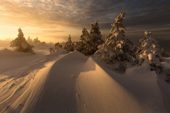 Картинка природа зима простор