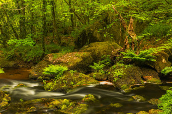 Картинка природа реки озера простор