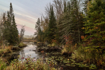 Картинка природа реки озера простор