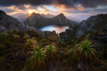 Картинка природа тропики простор