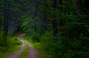 Картинка природа дороги простор