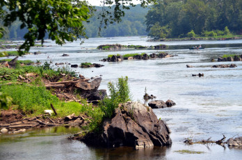 Картинка природа реки озера река