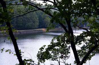 Картинка природа реки озера река