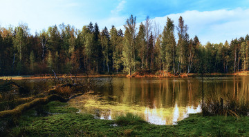 Картинка природа реки озера простор