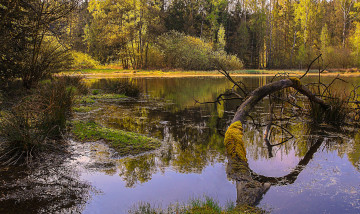 Картинка природа реки озера простор