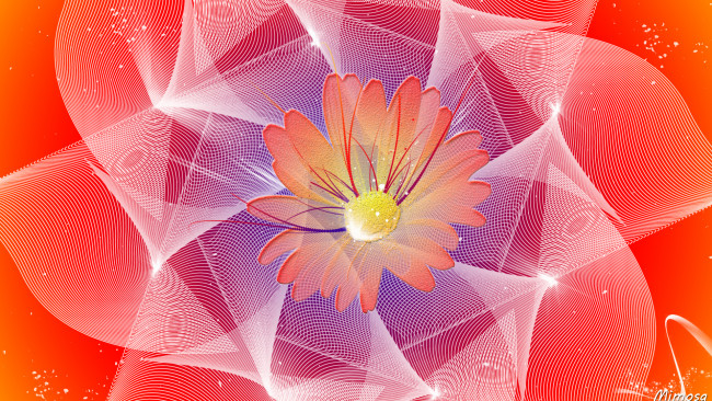 Обои картинки фото векторная графика, графика , graphics, цвет, фон, узоор