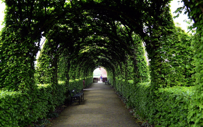 Обои картинки фото природа, парк, аллея