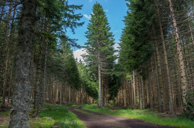 Обои картинки фото природа, дороги, простор