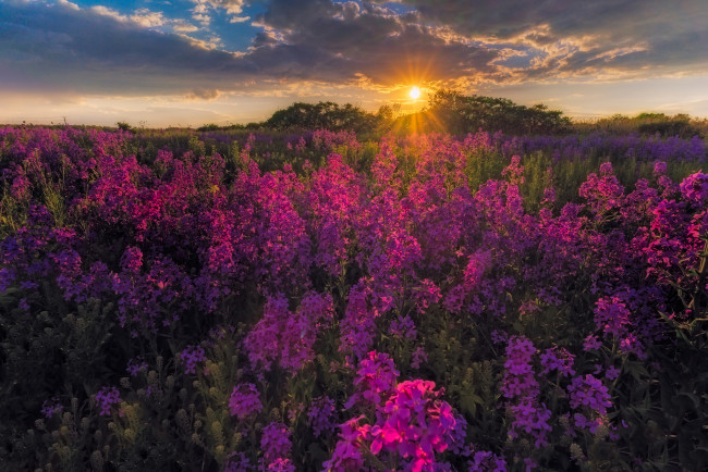 Обои картинки фото природа, луга, простор