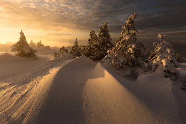 Обои картинки фото природа, зима, простор