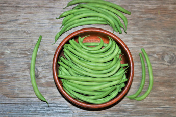 Картинка еда бобовые фасоль стручковая