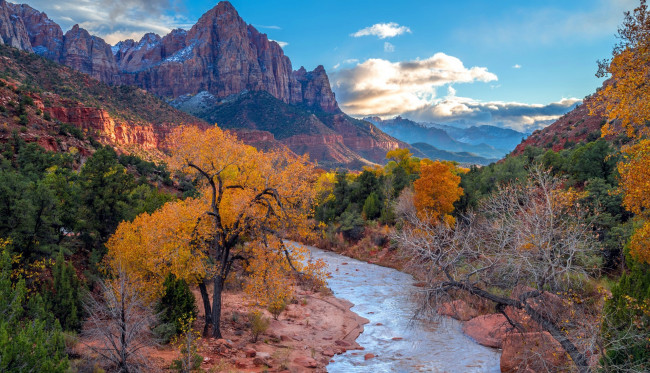 Обои картинки фото zion national park, utah, usa, природа, реки, озера, zion, national, park