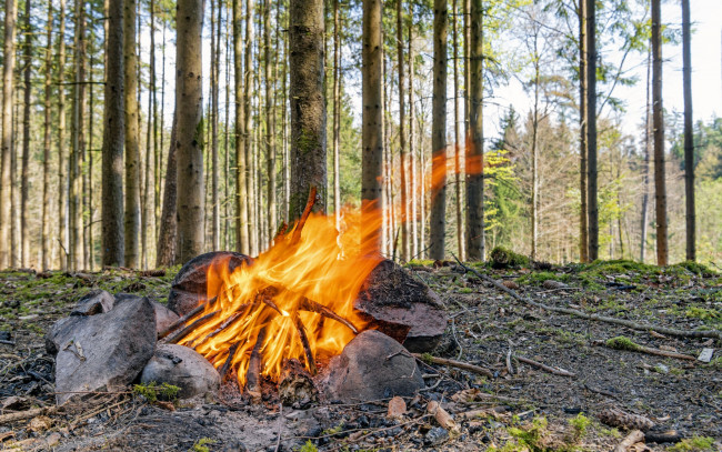 Обои картинки фото природа, огонь, костер