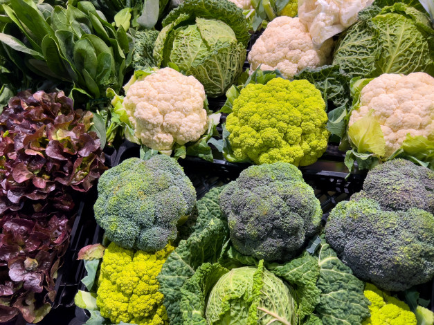 Обои картинки фото еда, капуста и её разновидности, брокколи, капуста, цветная, савойская, ассорти