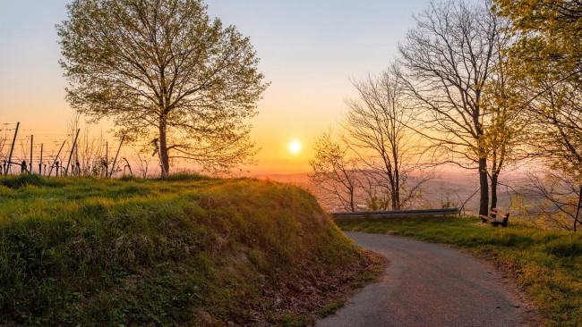 Обои картинки фото природа, дороги, закат, дорога, поворот