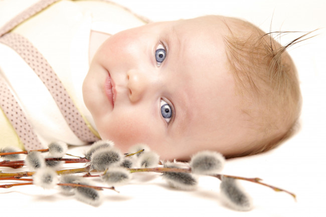 Обои картинки фото разное, дети, младенец, верба, ветки