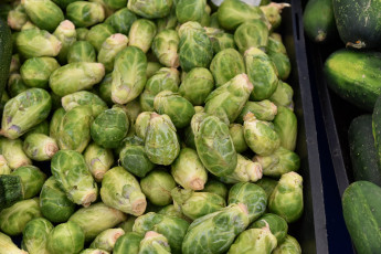 Картинка еда капуста+и+её+разновидности кочанчики капуста брюссельская много