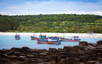 обоя корабли, разные вместе, тропики, разные, суда