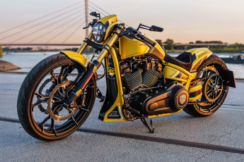 обоя харлей, мотоциклы, harley-davidson, мотоцикл, байк, thunderbike, customs