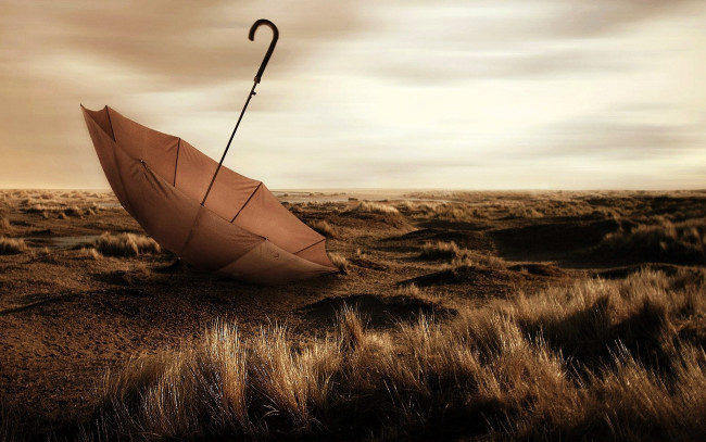 Обои картинки фото разное, сумки,  кошельки,  зонты, зонт, трава